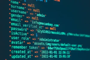 Arquivo robots.txt: controle de acesso dos robôs ao site