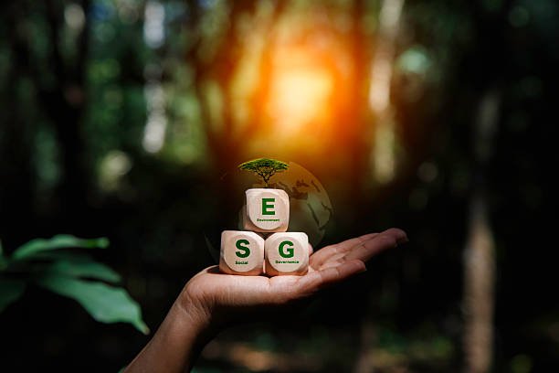 ESG como diferencial! Saiba como a responsabilidade ambiental, social e de governança pode ser sua vantagem competitiva e atrair clientes.